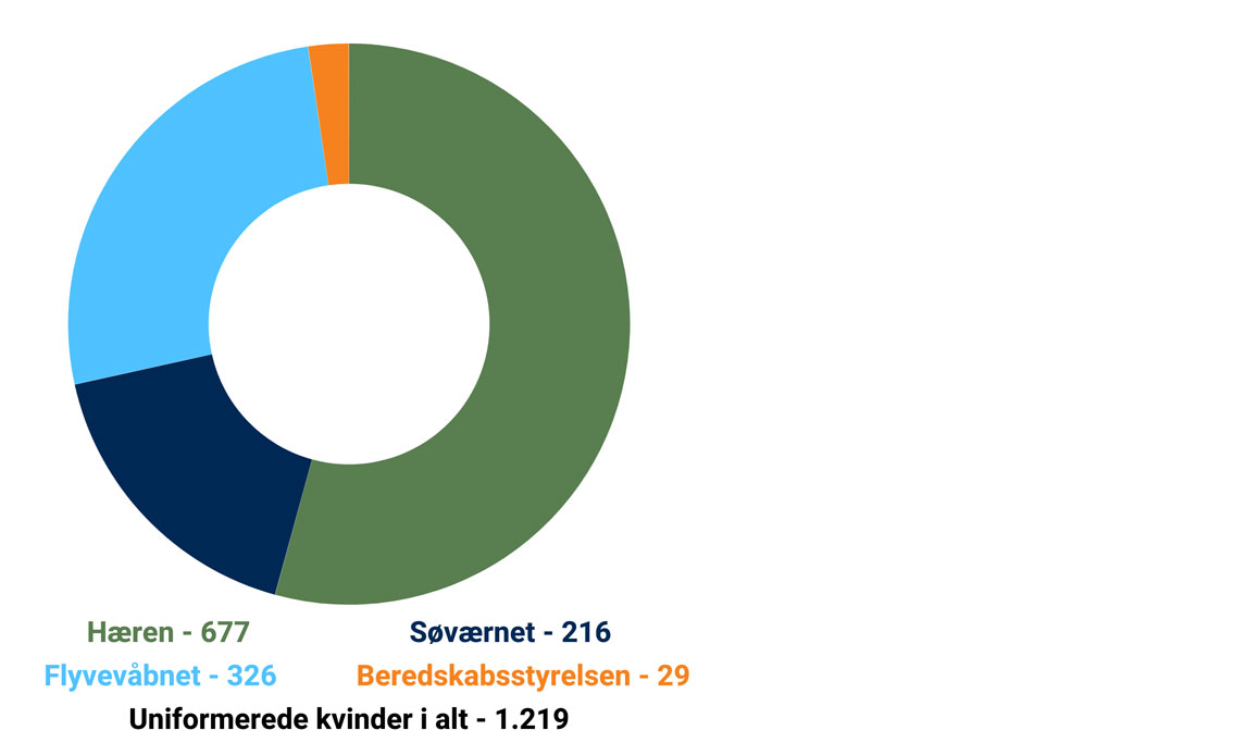 Diagram over antal kvindelige soldater